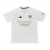 Officiële Voetbalshirt Arsenal Special Edition 2023-24 - Heren